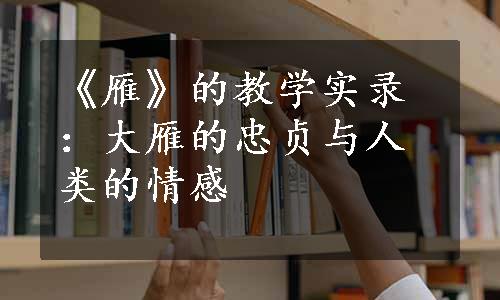 《雁》的教学实录：大雁的忠贞与人类的情感