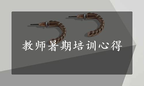 教师暑期培训心得