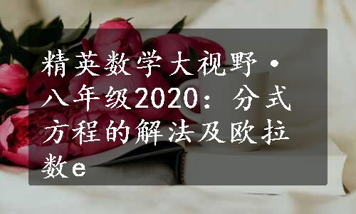 精英数学大视野·八年级2020：分式方程的解法及欧拉数e