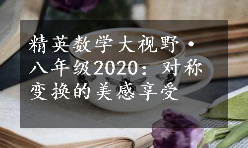 精英数学大视野·八年级2020：对称变换的美感享受