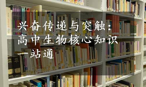 兴奋传递与突触：高中生物核心知识一站通