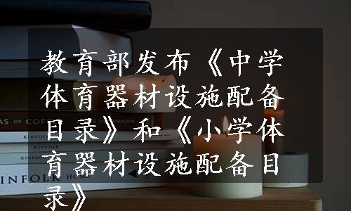 教育部发布《中学体育器材设施配备目录》和《小学体育器材设施配备目录》