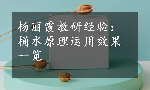 杨丽霞教研经验：桶水原理运用效果一览