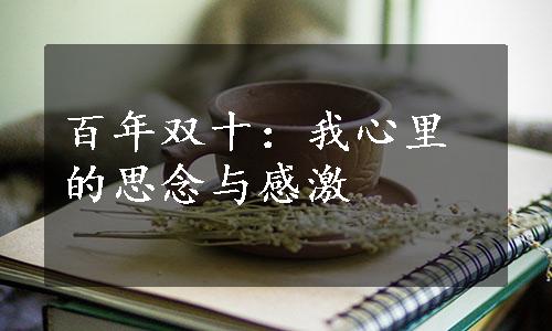 百年双十：我心里的思念与感激