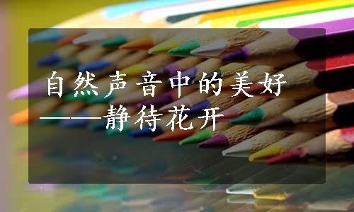 自然声音中的美好——静待花开