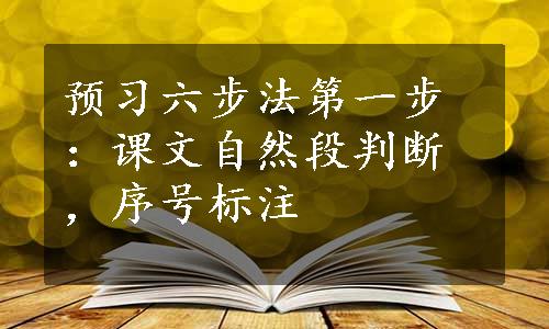 预习六步法第一步：课文自然段判断，序号标注