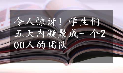 令人惊讶！学生们五天内凝聚成一个200人的团队