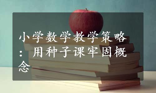 小学数学教学策略：用种子课牢固概念