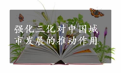 强化三化对中国城市发展的推动作用