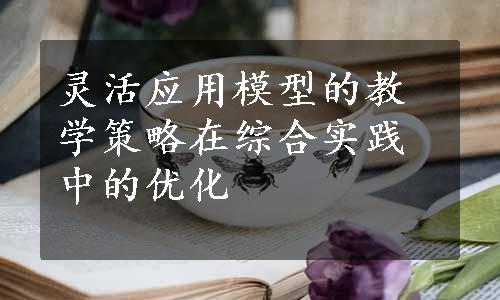 灵活应用模型的教学策略在综合实践中的优化