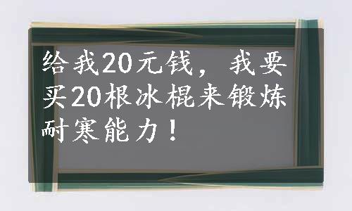 给我20元钱，我要买20根冰棍来锻炼耐寒能力！