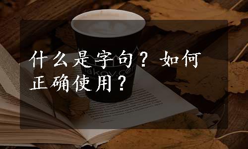 什么是字句？如何正确使用？