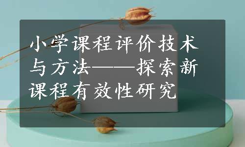 小学课程评价技术与方法——探索新课程有效性研究