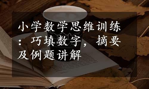 小学数学思维训练：巧填数字，摘要及例题讲解