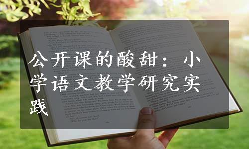 公开课的酸甜：小学语文教学研究实践