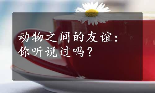 动物之间的友谊：你听说过吗？