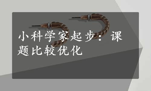 小科学家起步：课题比较优化