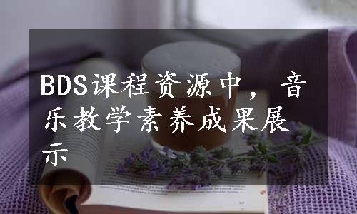 BDS课程资源中，音乐教学素养成果展示