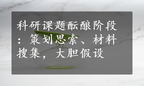 科研课题酝酿阶段：策划思索、材料搜集，大胆假设