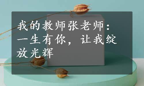 我的教师张老师：一生有你，让我绽放光辉