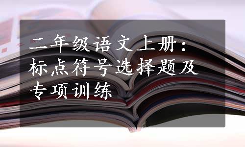 二年级语文上册：标点符号选择题及专项训练