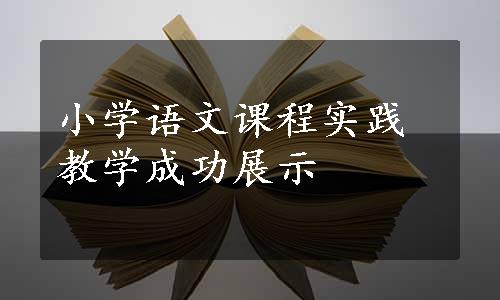 小学语文课程实践教学成功展示