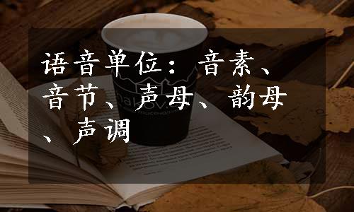 语音单位：音素、音节、声母、韵母、声调