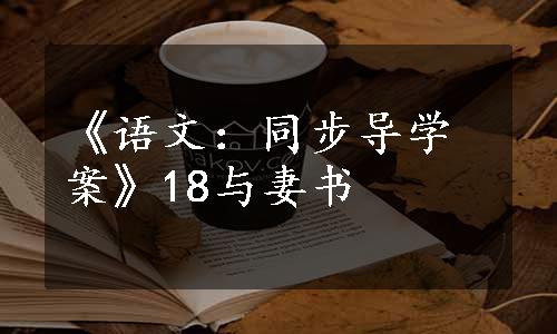 《语文：同步导学案》18与妻书