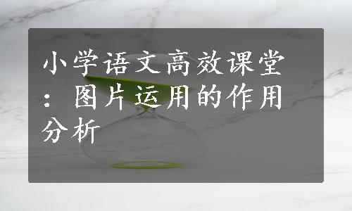 小学语文高效课堂：图片运用的作用分析