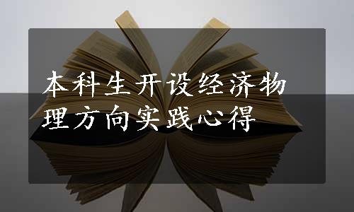 本科生开设经济物理方向实践心得