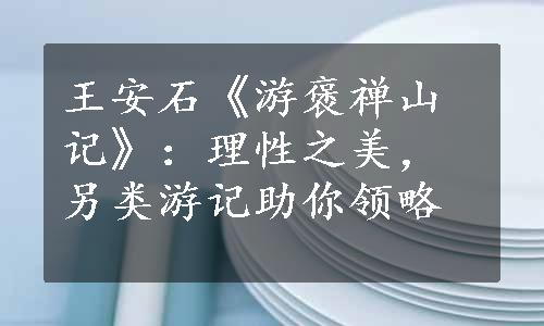 王安石《游褒禅山记》：理性之美，另类游记助你领略