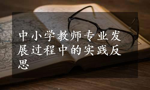 中小学教师专业发展过程中的实践反思