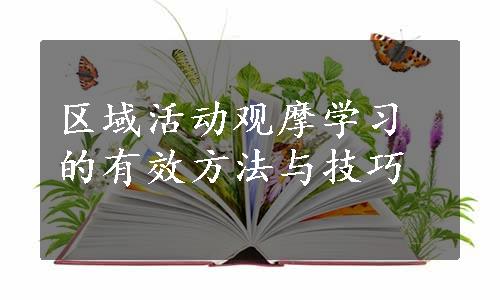 区域活动观摩学习的有效方法与技巧