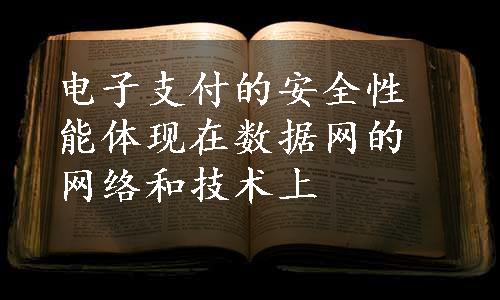 电子支付的安全性能体现在数据网的网络和技术上