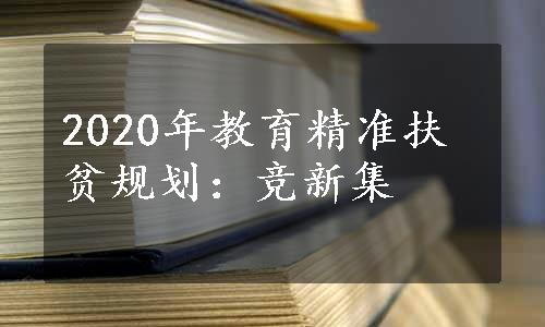 2020年教育精准扶贫规划：竞新集