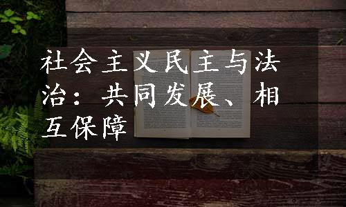 社会主义民主与法治：共同发展、相互保障