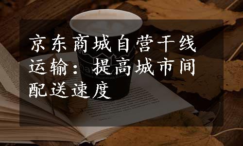 京东商城自营干线运输：提高城市间配送速度