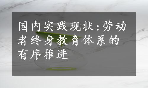 国内实践现状:劳动者终身教育体系的有序推进