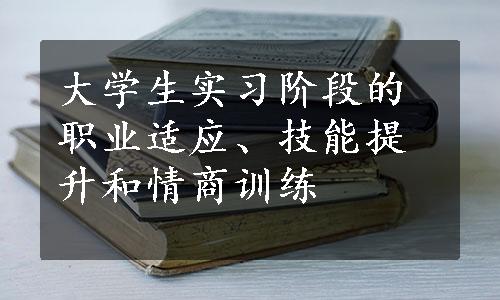 大学生实习阶段的职业适应、技能提升和情商训练