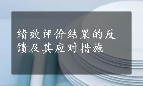 绩效评价结果的反馈及其应对措施