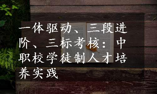 一体驱动、三段进阶、三标考核：中职校学徒制人才培养实践