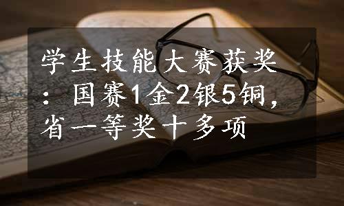 学生技能大赛获奖：国赛1金2银5铜，省一等奖十多项