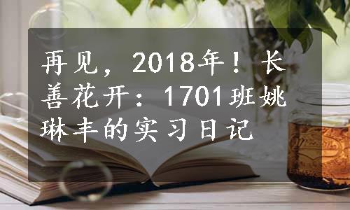 再见，2018年！长善花开：1701班姚琳丰的实习日记