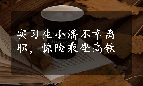 实习生小潘不幸离职，惊险乘坐高铁