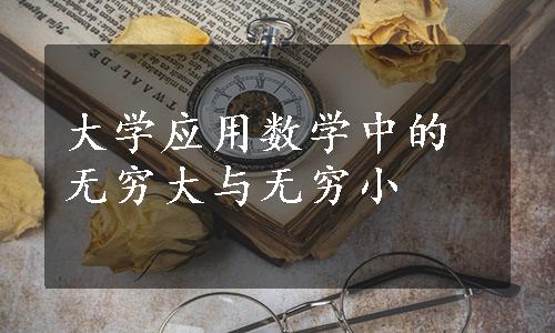 大学应用数学中的无穷大与无穷小