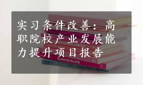 实习条件改善：高职院校产业发展能力提升项目报告