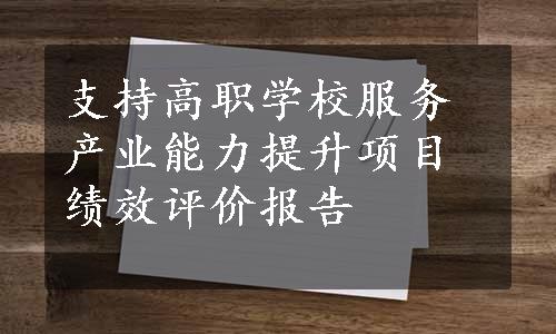 支持高职学校服务产业能力提升项目绩效评价报告