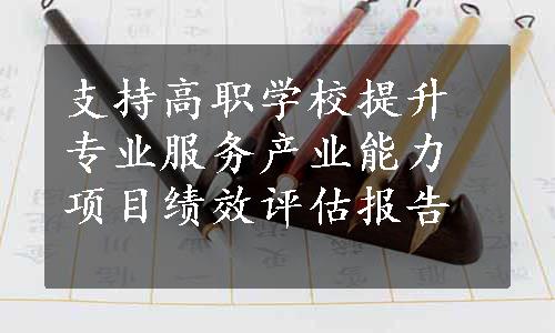 支持高职学校提升专业服务产业能力项目绩效评估报告