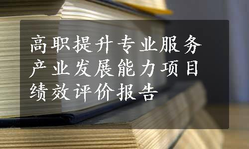 高职提升专业服务产业发展能力项目绩效评价报告