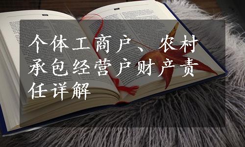 个体工商户、农村承包经营户财产责任详解